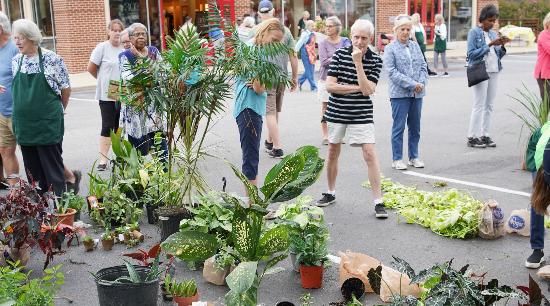 plant exchange